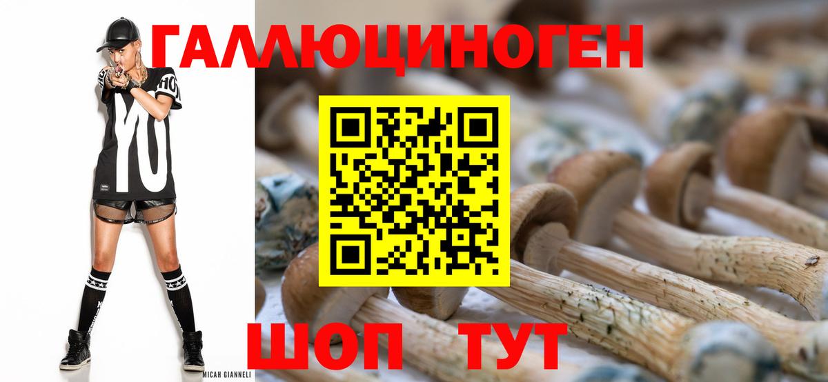 Псилоцибиновые грибы MAGIC MUSHROOMS Новокузнецк